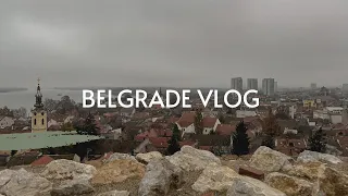 Влог # 2 | Белград | Земун | Ресторан Мишлен | Транспорт в Белграде