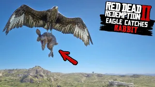 EAGLE Catches RABBIT (ULTRA RARE) in Red Dead Redemption 2 PC 4K