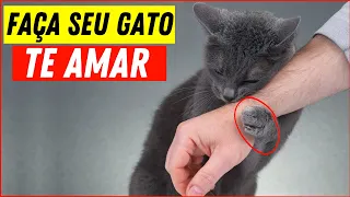 Como Fazer o Seu GATO TE AMAR 😻 (10 Dicas Comprovadas Cientificamente)