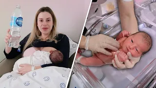 PRIMEIRO DIA COM A MAYA | Amanda Domenico