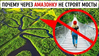 Что мешает строить мосты через Амазонку?