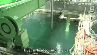 Removal of nuclear fuel assemblies from Fukushima Daiichi nuclear power plant
