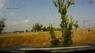 Подборка Аварий и ДТП Ноябрь (9) 2013 New Best Car Crash Compilation November 18+