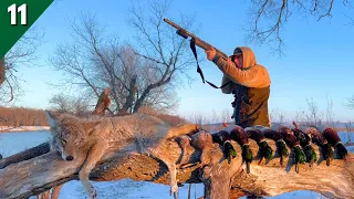 Jump Shooting Ducks On A Spring Creek | Can't Believe We Shot This!