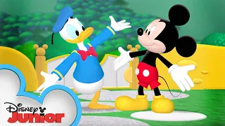 It's Donald Duck's Birthday! 🦆 | Mickey Mouse Clubhouse | Disney Junior