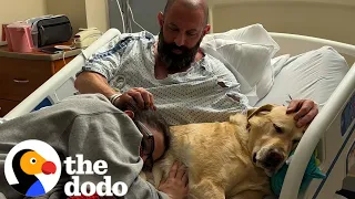 This Guy's Son Is An Incredibly Empathetic Dog | The Dodo