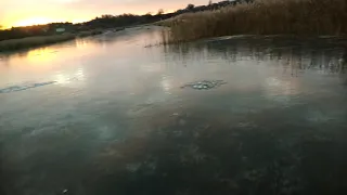 Первый лёд. Такого не было давно.