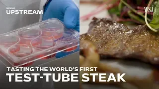 Tasting the World’s First Test-Tube Steak