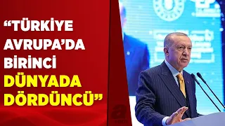 Başkan Erdoğan fidan dikim törenine katıldı | A Haber