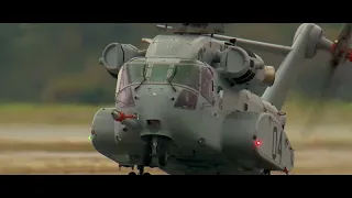 Ch 53K  King Stallion