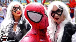 Spider-Man: SPIDER-VERSE vs SAN DIEGO COMIC CON! Black Cat, Spider-Gwen | MELF