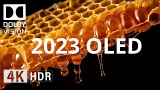 2023 OLED Demo | BLACK Details in 4K HDR 60fps!