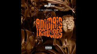 Tz da Coronel e VEGA - Animais Traidores | Prod DjQAP (Audio Oficial)