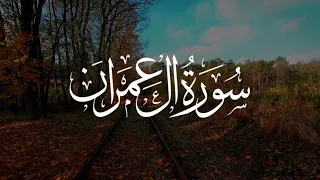 Yasser Al Zailay (ياسر الزيلعي) | Sourate Al-Imran (25-29)