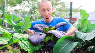 5 Crops That Grow FASTER Than WEEDS!