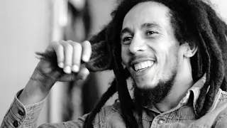 Bob Marley & The Wailers- Little Birds Dub Version 1984 (Lyrics)