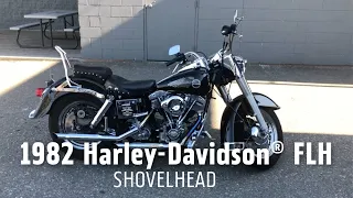 1982 Harley-Davidson FLH - Shovelhead