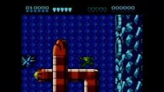 Awesome Video Game Music 424: 2nd Battletoads Medley (NES)