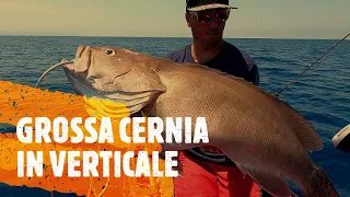 Grossa CERNIA con artificiale siliconico Autocostruito