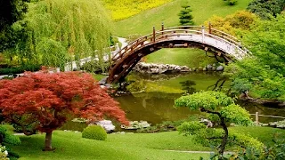 Relaxing Japanese Music - Japanese Garden