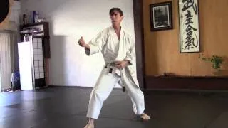 Rick Hotton Karate