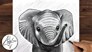 How To Draw an ELEPHANT | Drawing Animals