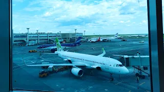 Взлëт на Airbus a320 sharklets "s7 airlines" в ливрее Painter из Москвы Домодедово