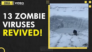 Scientists revive 48,500-year-old ‘Zombie Virus’ buried in Russia; how dangerous is it? | DNA India