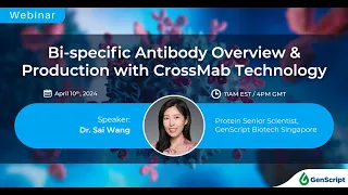 Bispecific Antibody Overview & Production with CrossMab Technology