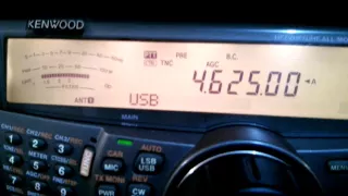 UVB-76 The Buzzer (somewhere near Moscow, Russia) - 4625 kHz (USB)