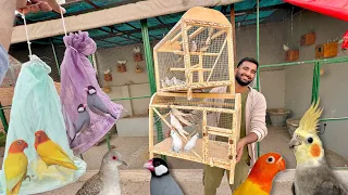 Master Cage K Lye Bht Sary Birds Le Aiy Hn😍