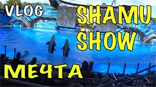 SEA WORLD ORLANDO SHAMU WHALE SHOW МОЯ МЕЧТА! КАСАТКА ЖИЗНЬ В США ВЛОГ 152