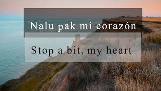 Butrint Imeri x Don Xhoni - Corazon (lyrics + English)