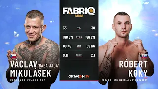 Mikulášek vs. Koky | FABRIQ 3