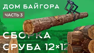 Сборка сруба из бревна