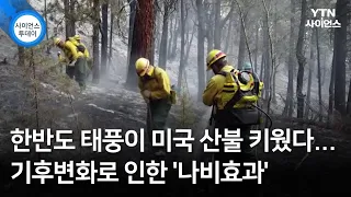 한반도 태풍이 미국 산불 키웠다...기후변화로 인한 '나비효과' / YTN 사이언스