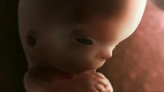 3D фильм 9 месяцев беременности за 10 минут