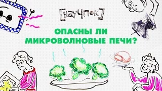 Опасны ли микроволновые печи? - НАУЧПОК