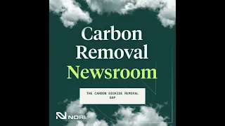 The Carbon Dioxide Removal Gap