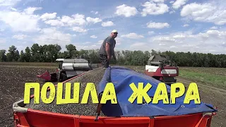 ВТОРОЙ ДЕНЬ УБОРКИ ПОДСОЛНЕЧНИКА!!!ПОДЪЕХАЛ АКРОС 580!!!ПОГОДА ОПЯТЬ КАПРИЗНИЧАЕТ!!!