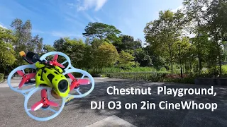 Chestnut Playground,.. left with 2 DJI O3 problems for cinematic (auto-EV and video stabilizing)
