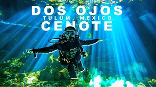 Cave Diving Dos Ojos Cenote | Barbie Line and The Bat Cave Dive Sites