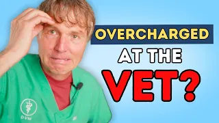 5 Tips To Avoid Getting Overcharged At The Vet