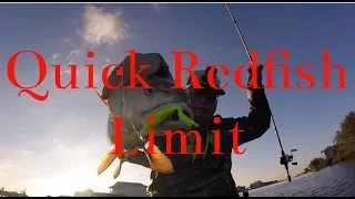 World record time for catching fish | quick limit of redfish