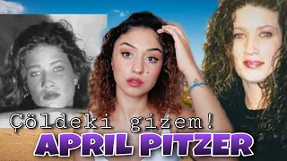 Çölde Kaybolan Kadın - April Pitzer | KARANLIK DOSYALAR