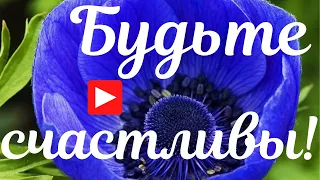 Доброе утро! Будьте счастливы всегда! Солнышка в душе! Красивая музыкальная открытка С Добрым утром