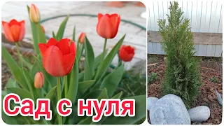 Сад с нуля. Что будем сажать. Дача после зимы. Весна 2023. Garden.