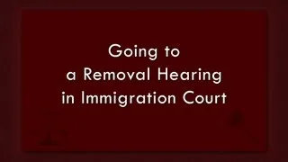 Going to a Removal Hearing in Immigration Court