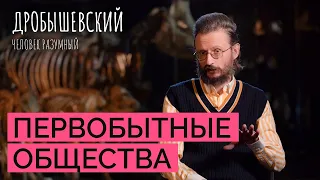 Почему исчезают современные дикие общества и где они сохранились? // Дробышевский. Человек разумный