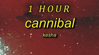 Kesha - Cannibal Lyrics  whenever you tell me i'm pretty| 1 HOUR